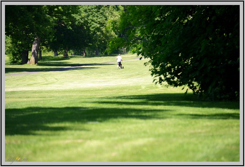 DSC_7719tom.jpg