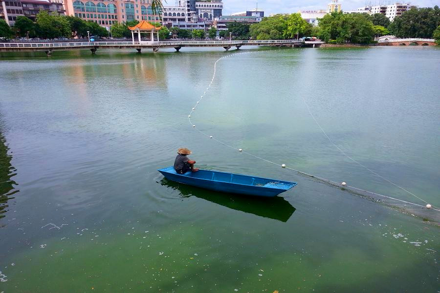 20140624_152413_.jpg