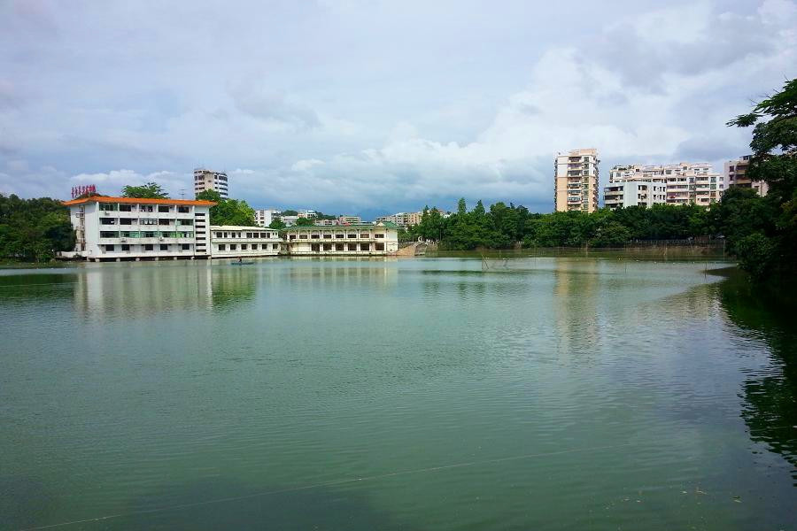 20140624_153023_.jpg