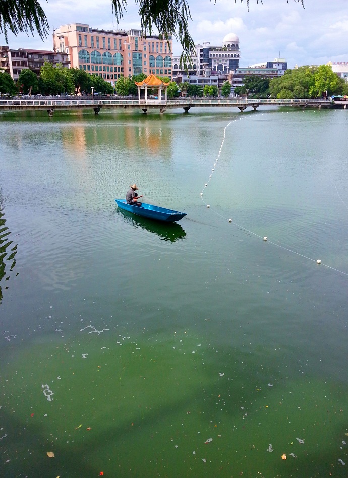 20140624_152428_.jpg