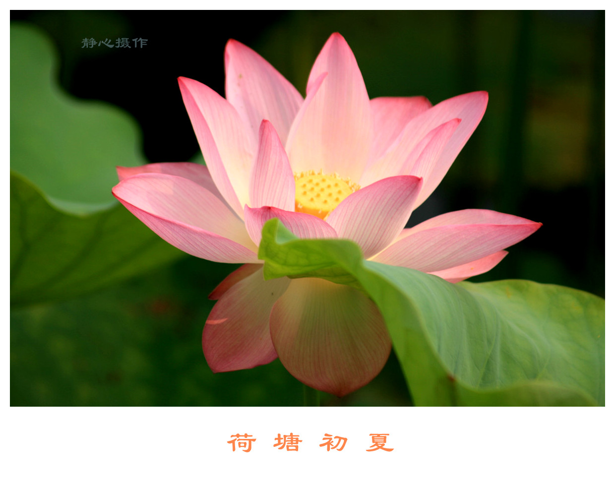 ī�� 103_����_����.jpg