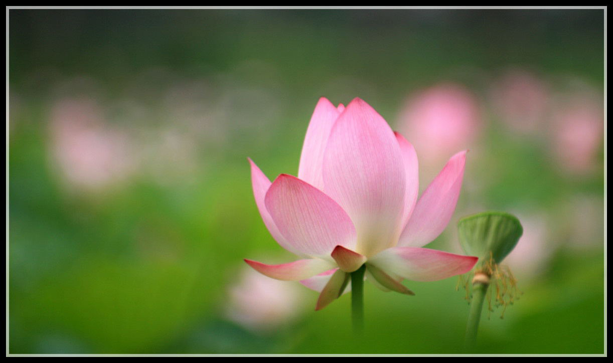 2222 014_����_DDDD.jpg