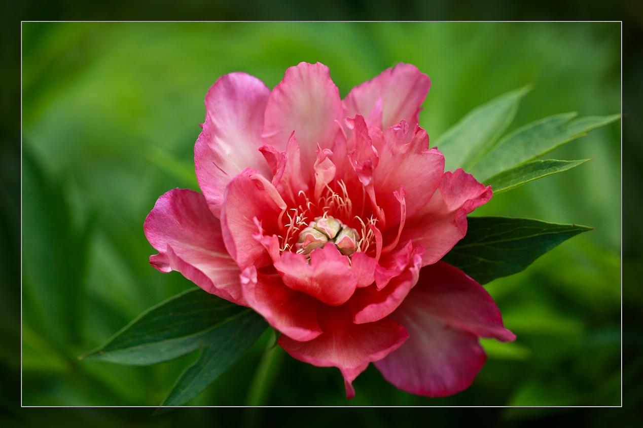 �}�u -�ձ����@ 023-1.jpg