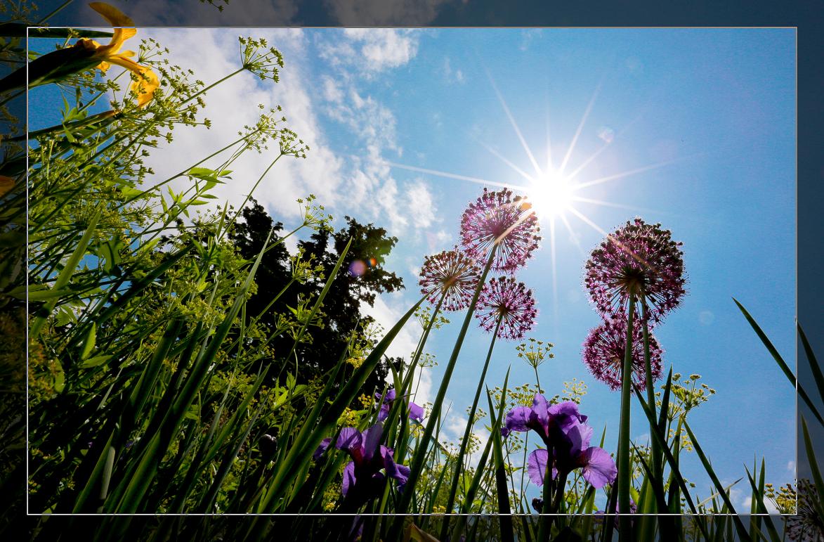 �}�u -088-001.jpg