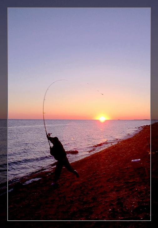 �}�u -IMG_1359-225.jpg