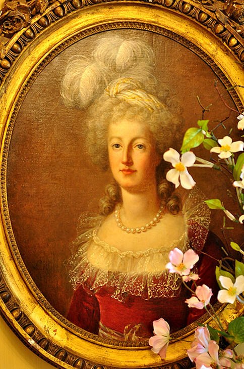 DSC_0723 - Copy_����.jpg