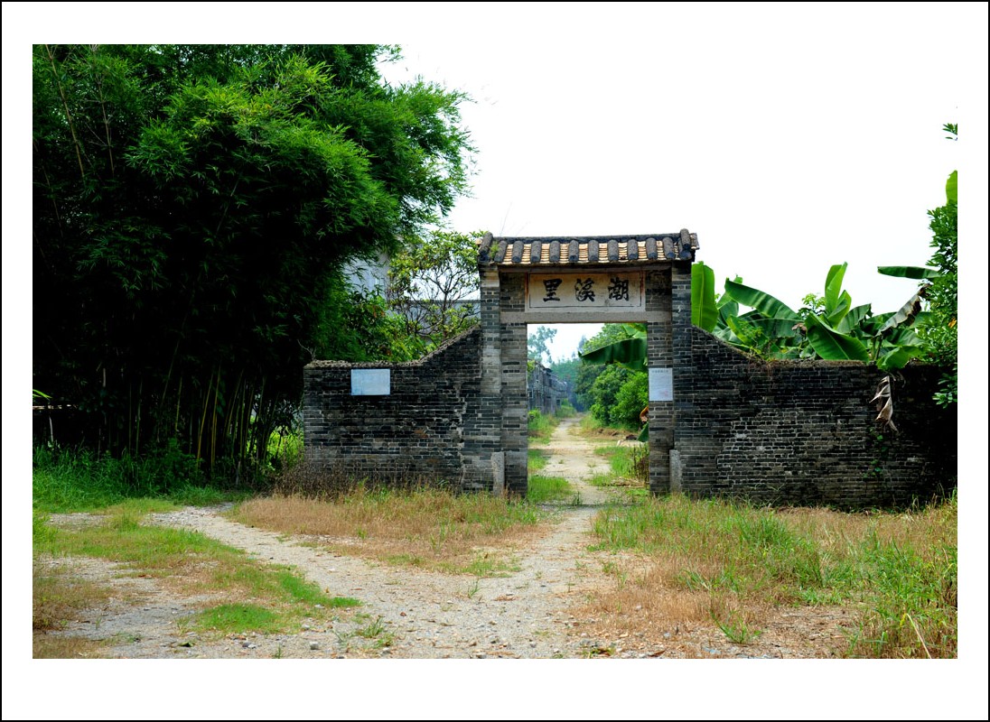 DSC_4920_conew1.jpg