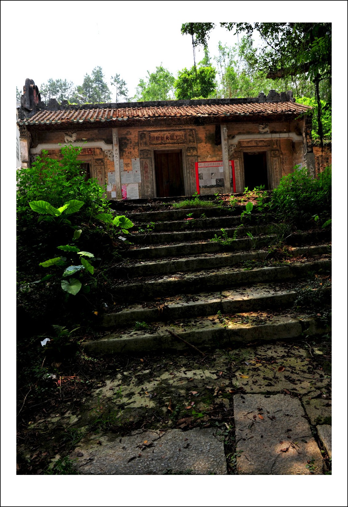 DSC_4831_conew1.jpg