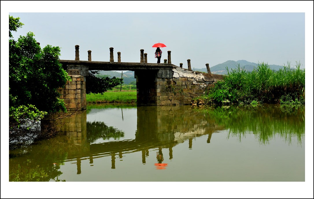 DSC_4845_conew1.jpg