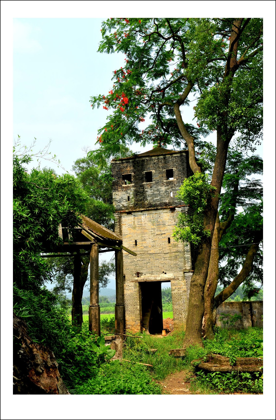 DSC_5090_conew1.jpg