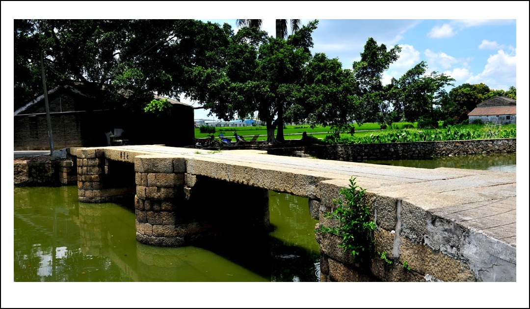 DSC_2349_conew1.jpg