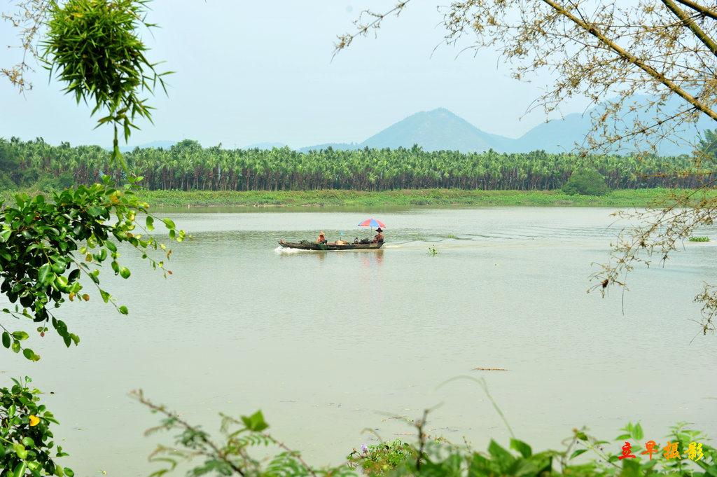 DSC_5132.jpg