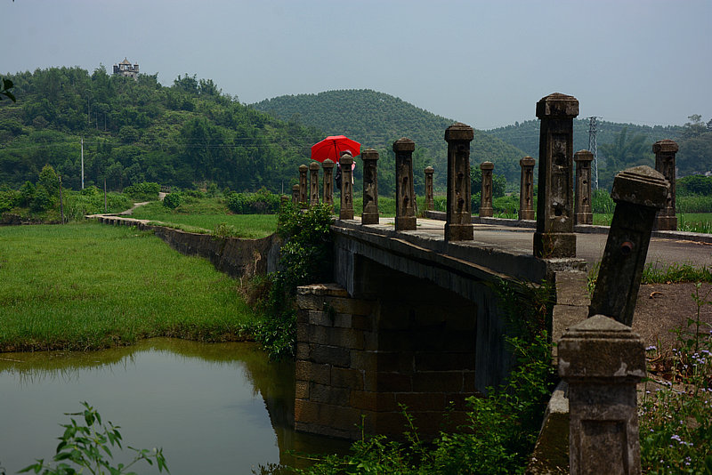 DSC_7771_1.JPG