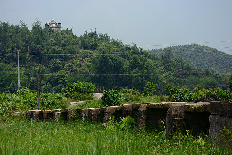 DSC_7785_1.JPG