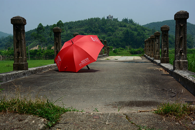DSC_7773_1.JPG