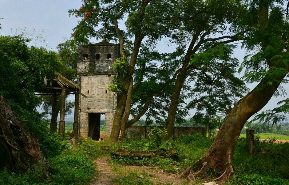 DSC_5802.jpg