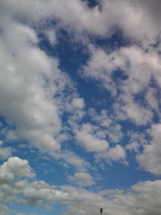 2013-06-06 17.07.13.jpg