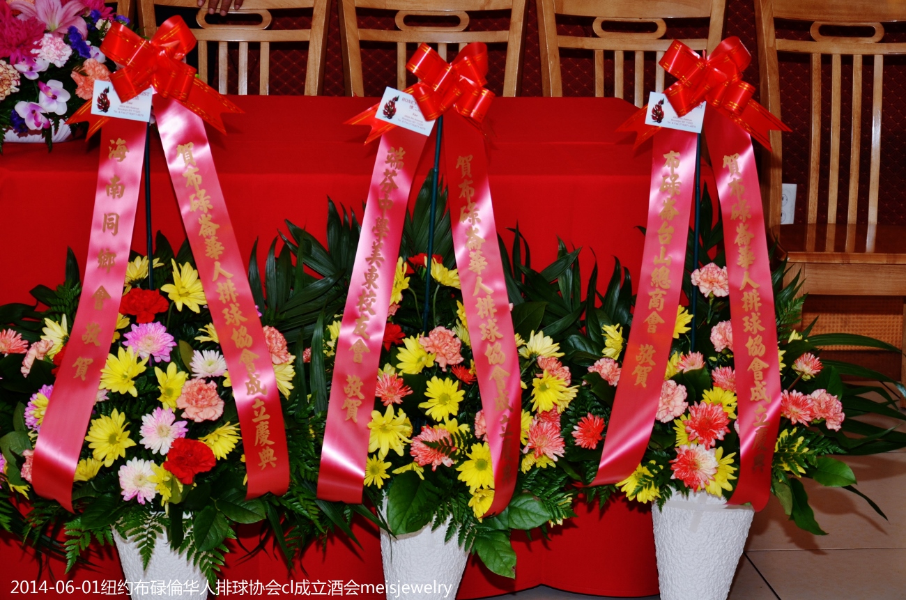 DSC_9081 (1300x861).jpg