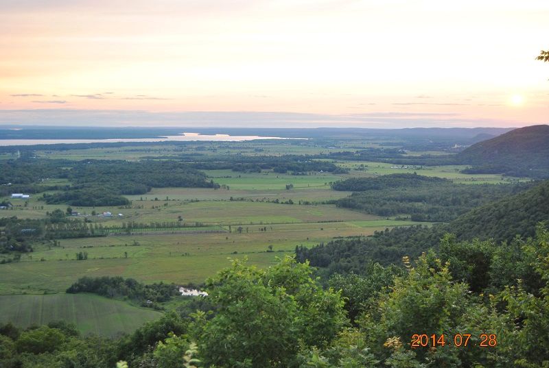 DSC_0153.JPG