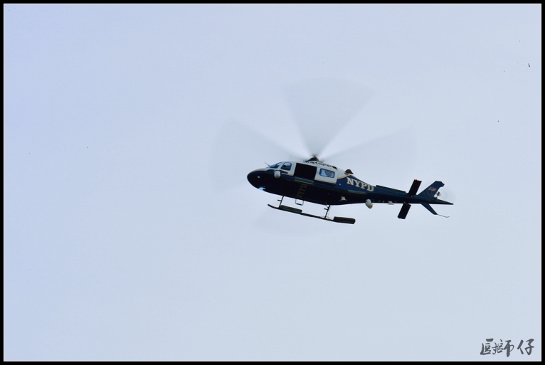 DSC_8440.jpg