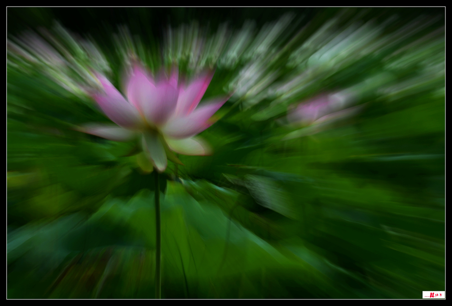 DSC_8430_.jpg