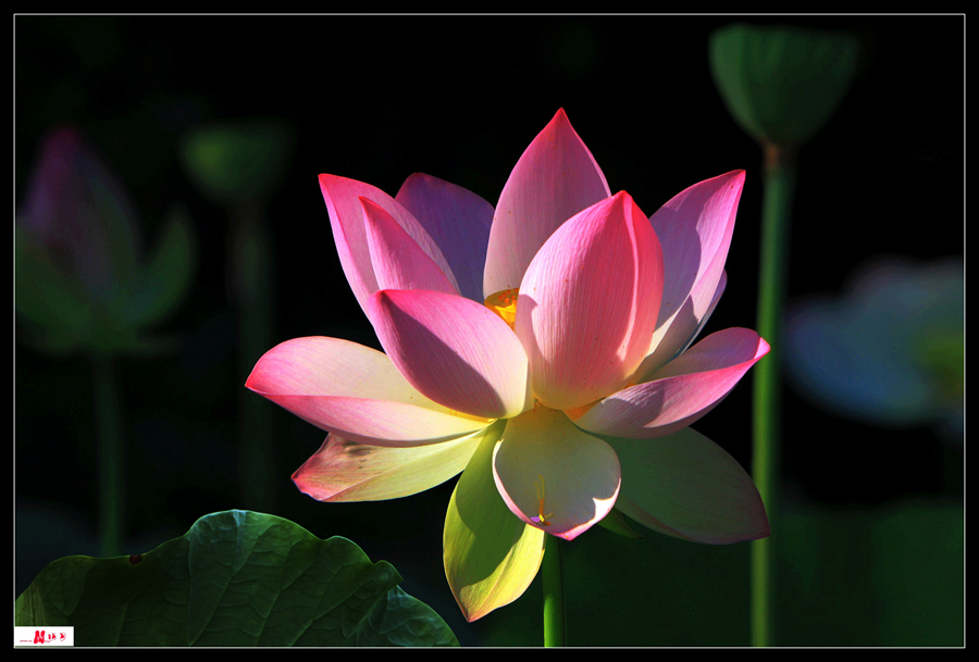 IMG_7412 ����_����_����.jpg