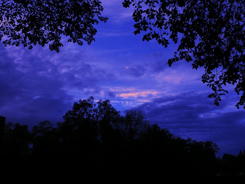 L1560469.JPG