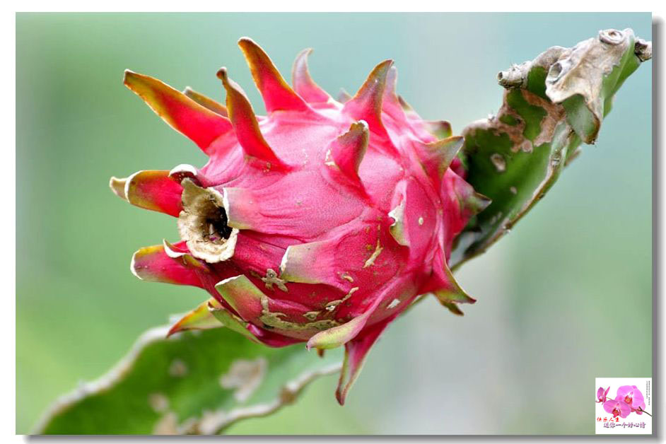 ������ (4).jpg