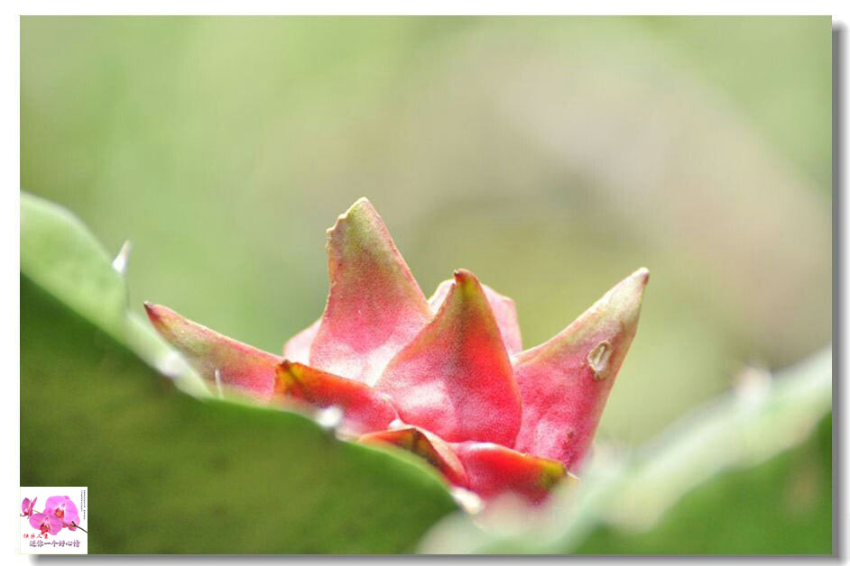 ������ (1).jpg