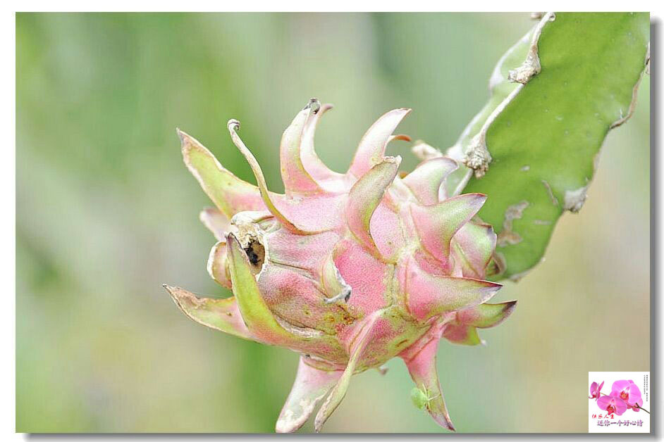 ������ (2).jpg