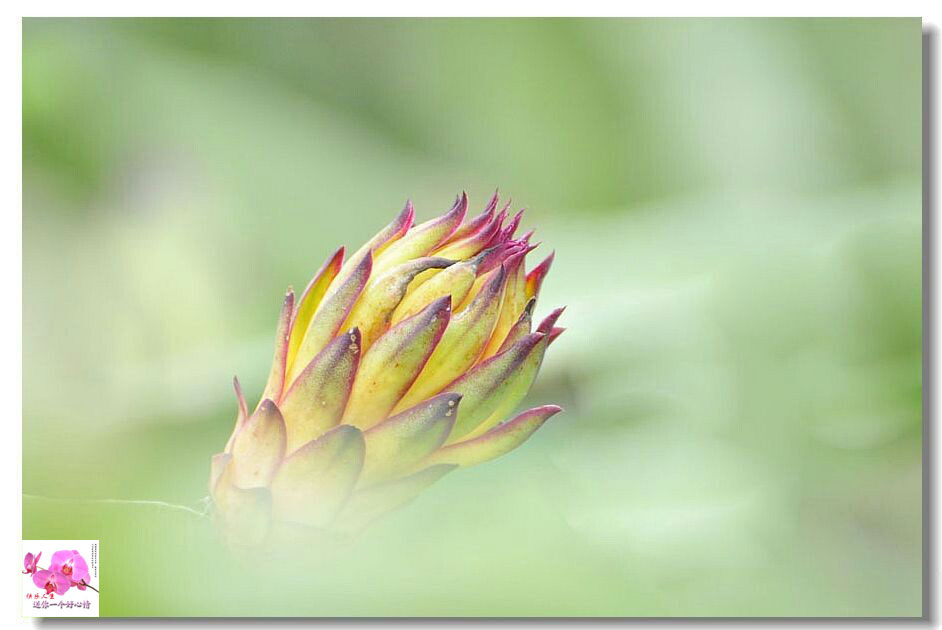 ������ (3).jpg