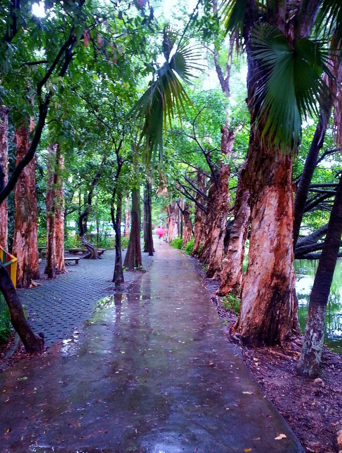 20140701_093116.jpg
