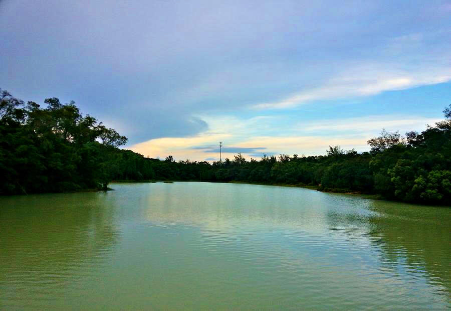 20140702_185838.jpg