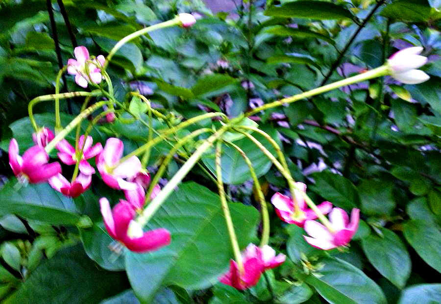 20140702_190314.jpg
