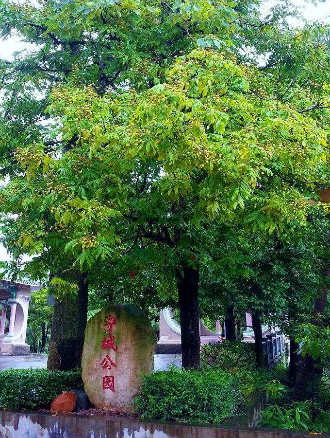 20140701_093512.jpg