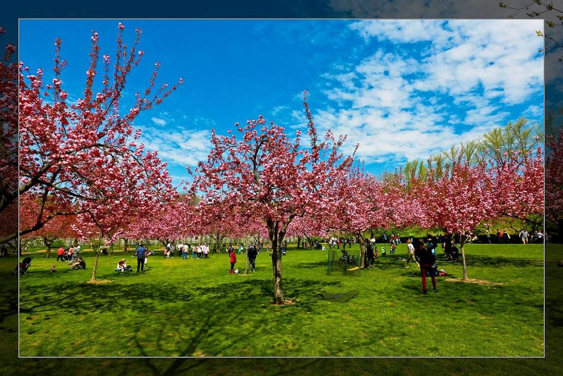 �}�u -05-03-2014--�~�s 017-1.jpg