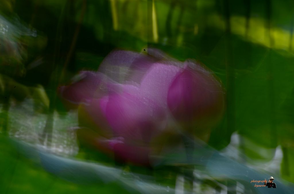 DSC_1641.jpg