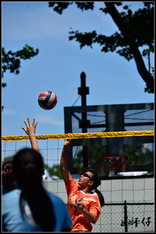 DSC_8334.jpg