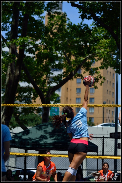 DSC_8331.jpg