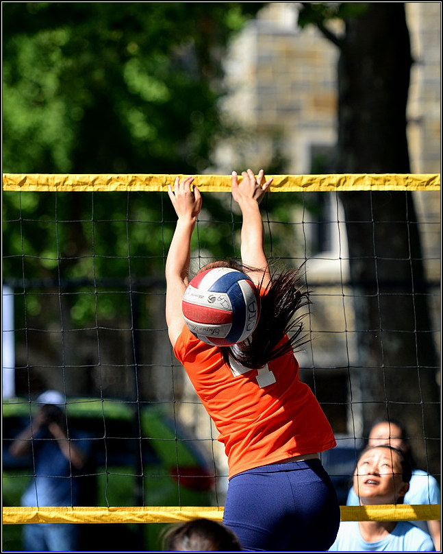 99_35199_d50f486011c5539[1].jpg