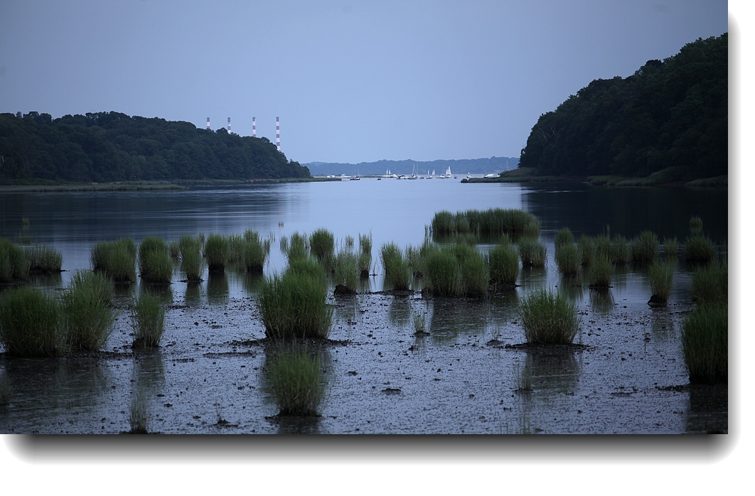 IMG_7939a.jpg