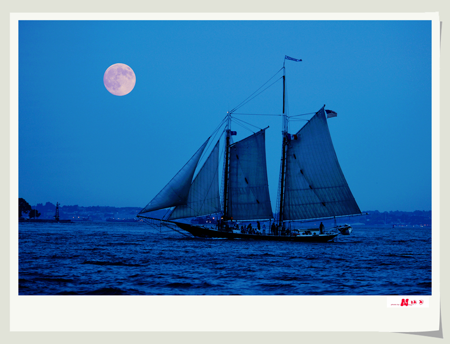 DSC_7838 ����_����_����.jpg