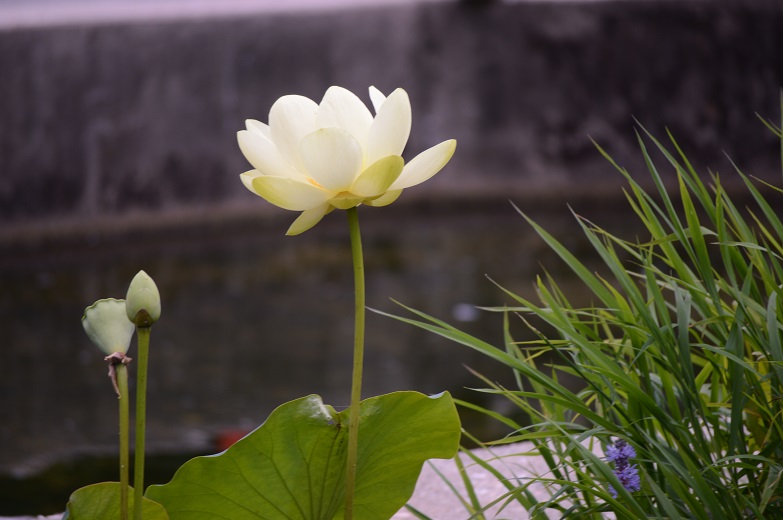 DSC_3861.JPG
