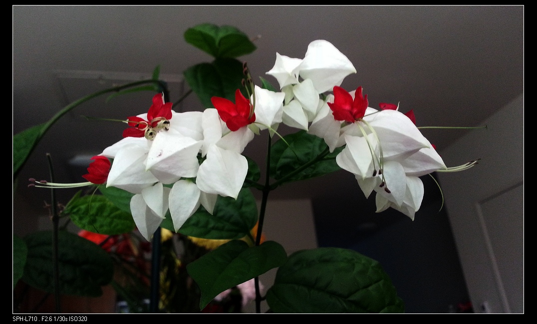 20140725_070407.jpg