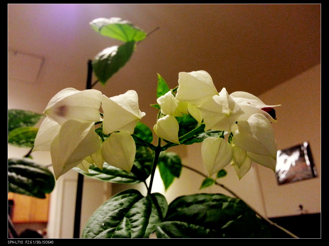 20140719_225003.jpg