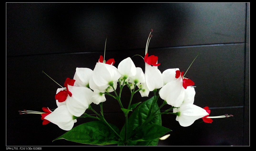 20140725_070355.jpg