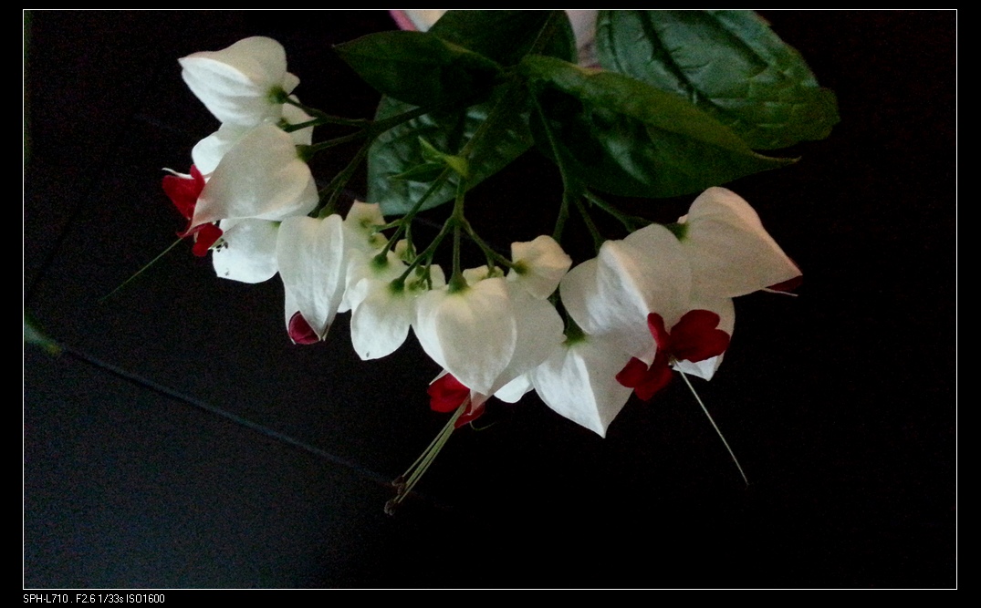 20140724_070348.jpg