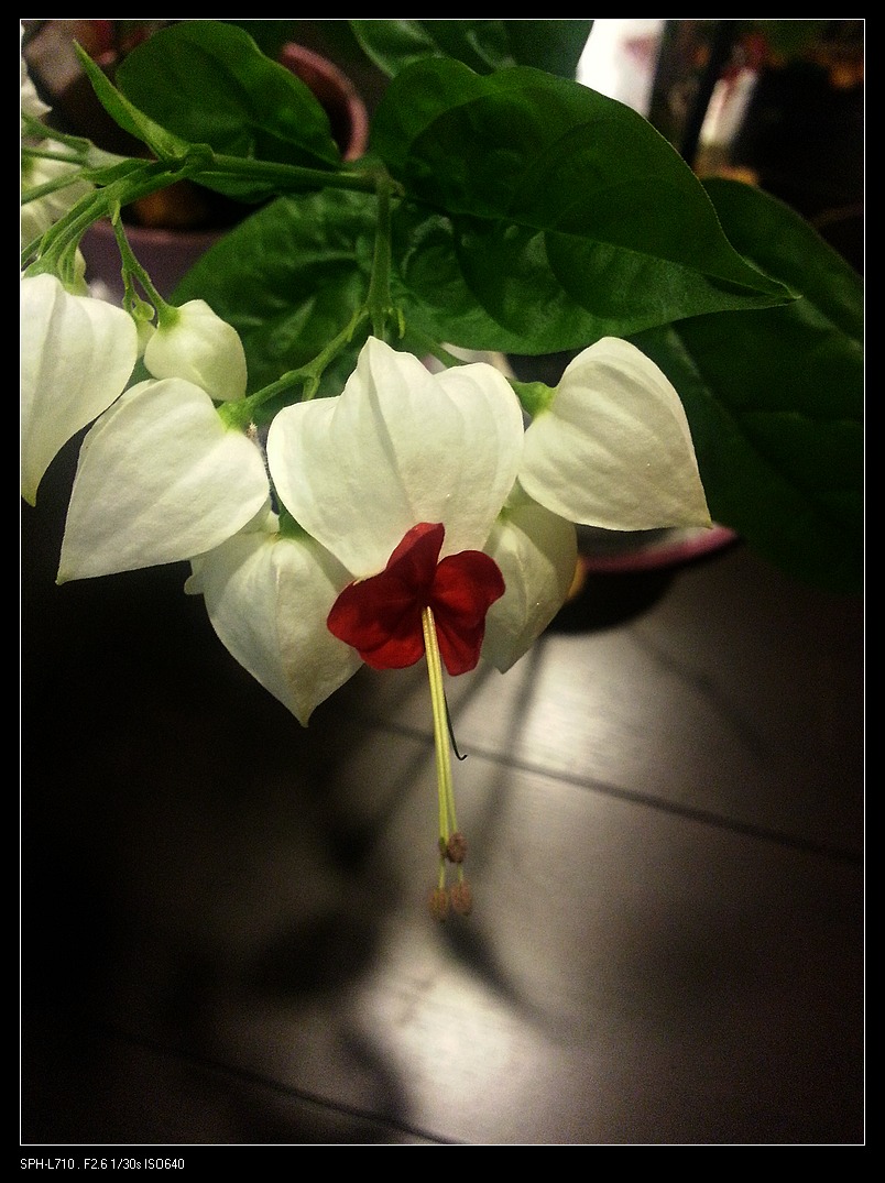 20140721_065152.jpg