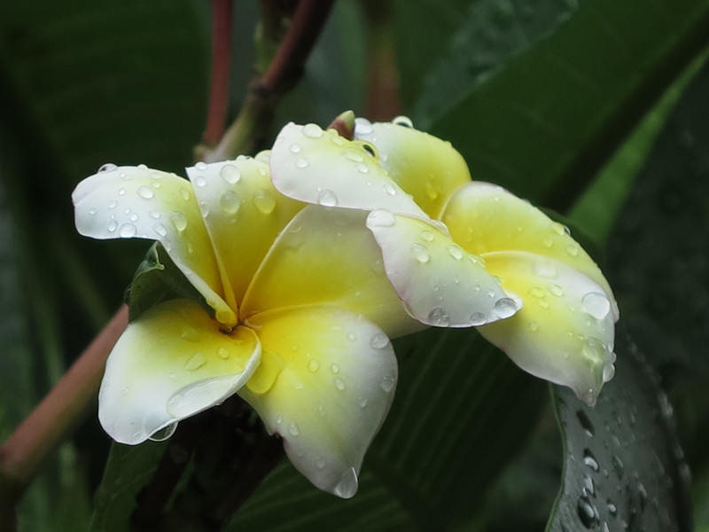 2014.6 508_.jpg