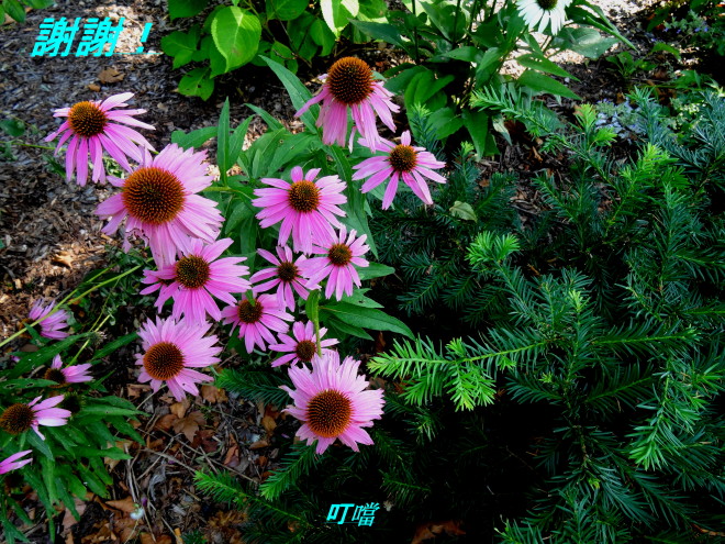 DSC02840_2.JPG